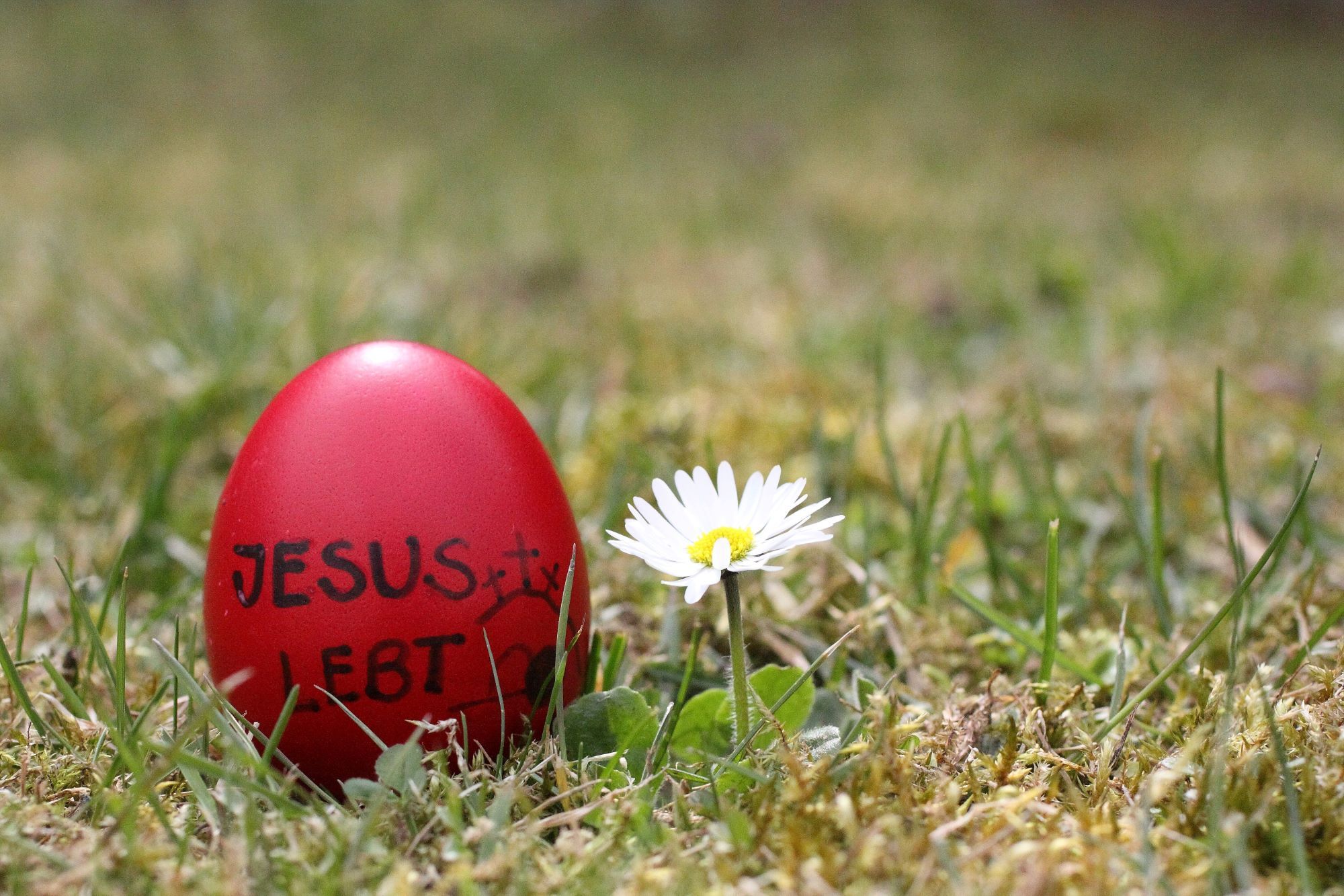 easter (c) pixabay