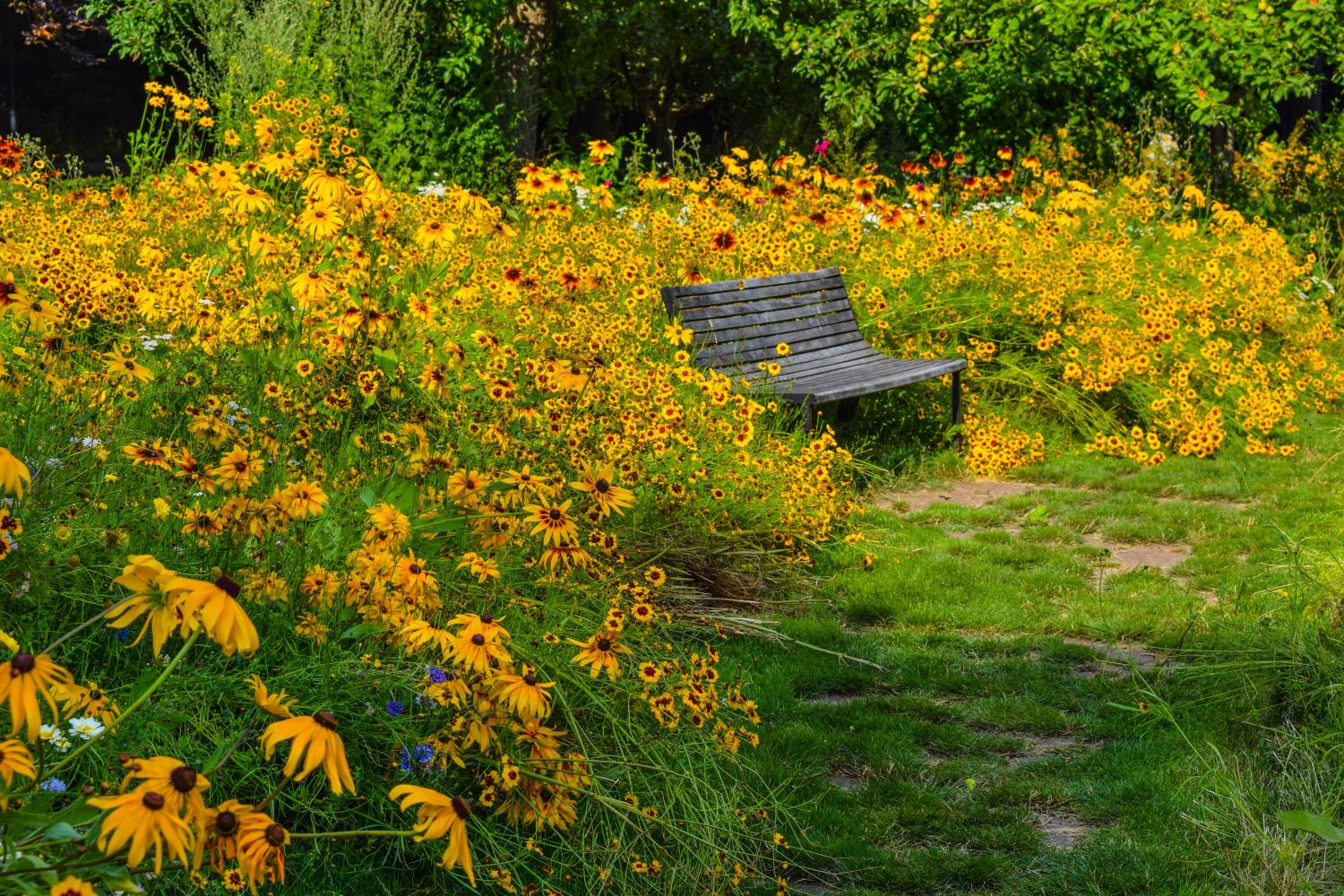 nature (c) by_ben_kerckx_pixabay_pfarrbriefservice