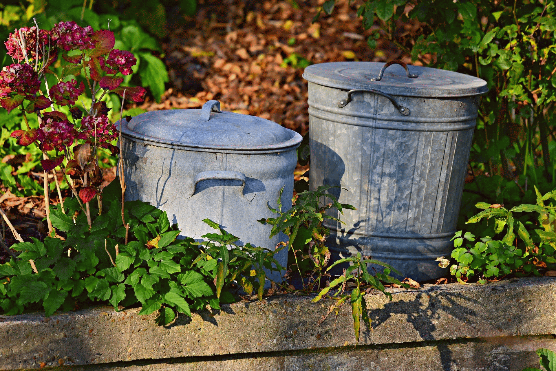 Müllfasten (c) pixabay