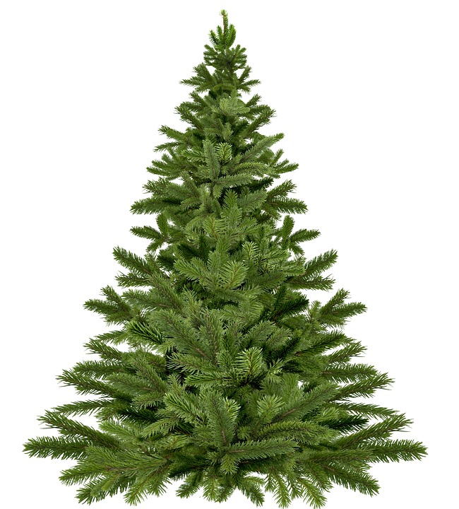 Weihnachtsbaum (c) pixabay