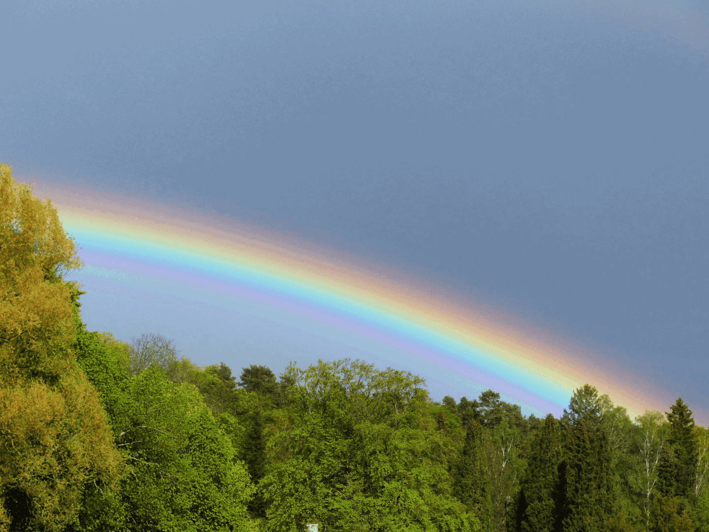 Regenbogen (c) Wunibald Woerle in Pfarrbriefservice