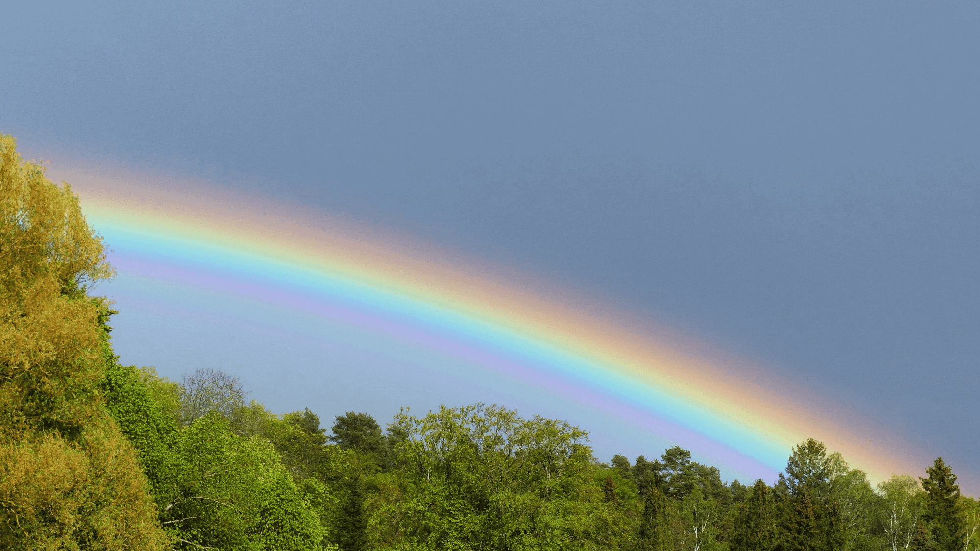 Regenbogen