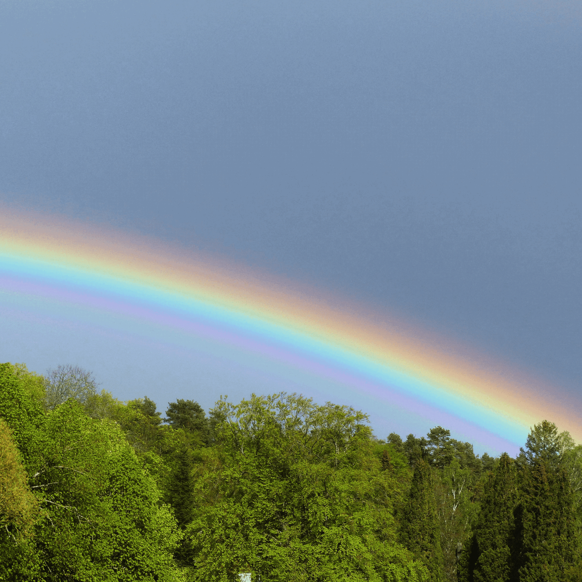 Regenbogen